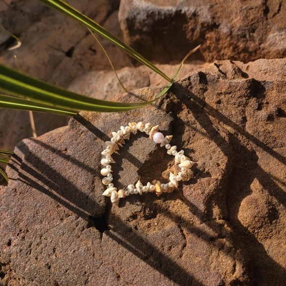 Seashells by the Seashore - Picture 1 of 2